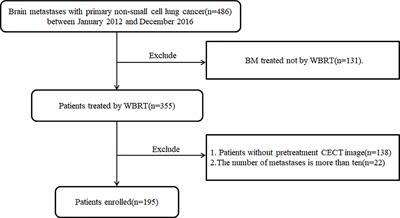 Computer Tomography Radiomics-Based Nomogram in the Survival Prediction for Brain Metastases From Non-Small Cell Lung Cancer Underwent Whole Brain Radiotherapy